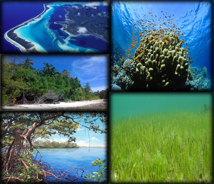 Gambar 2. Ekosistem Bahari Indonesia